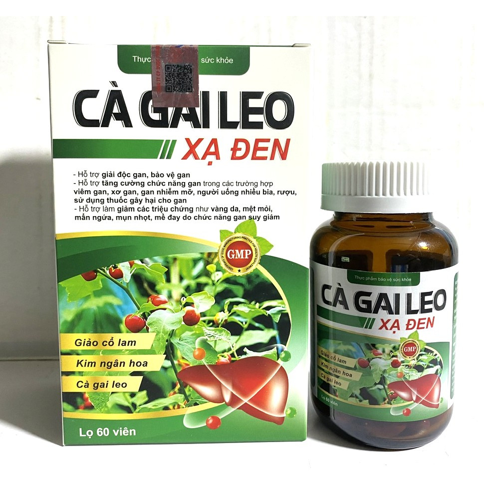 Cà gai leo xạ đen giải độc gan, mát gan, hạ men gan, tăng cường chức năng gan veien moi