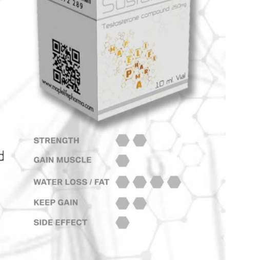 Meditech Áo Hốc môn tanon 250 E 250, C250 Tomboy IB Để Chọn đúng mã cần - LA Phama