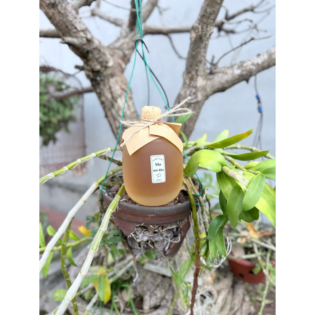 Làng Mơ - Mơ Má Đào thủ công đặc sản tây bắc 500ml