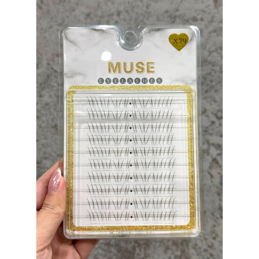 Mi giả MUSE, Mi cụm MUSE X74-X79-x73 Góc_mixinh