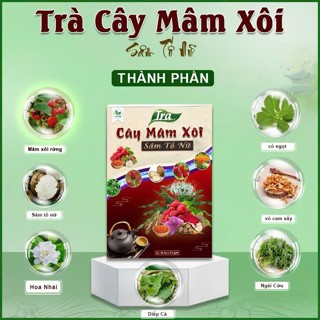 MUA 2 TẶNG 1 TRÀ CÂY MÂM XÔI SÂM TỐ NỮ HỘP LỚN 60 TÚI LỌC