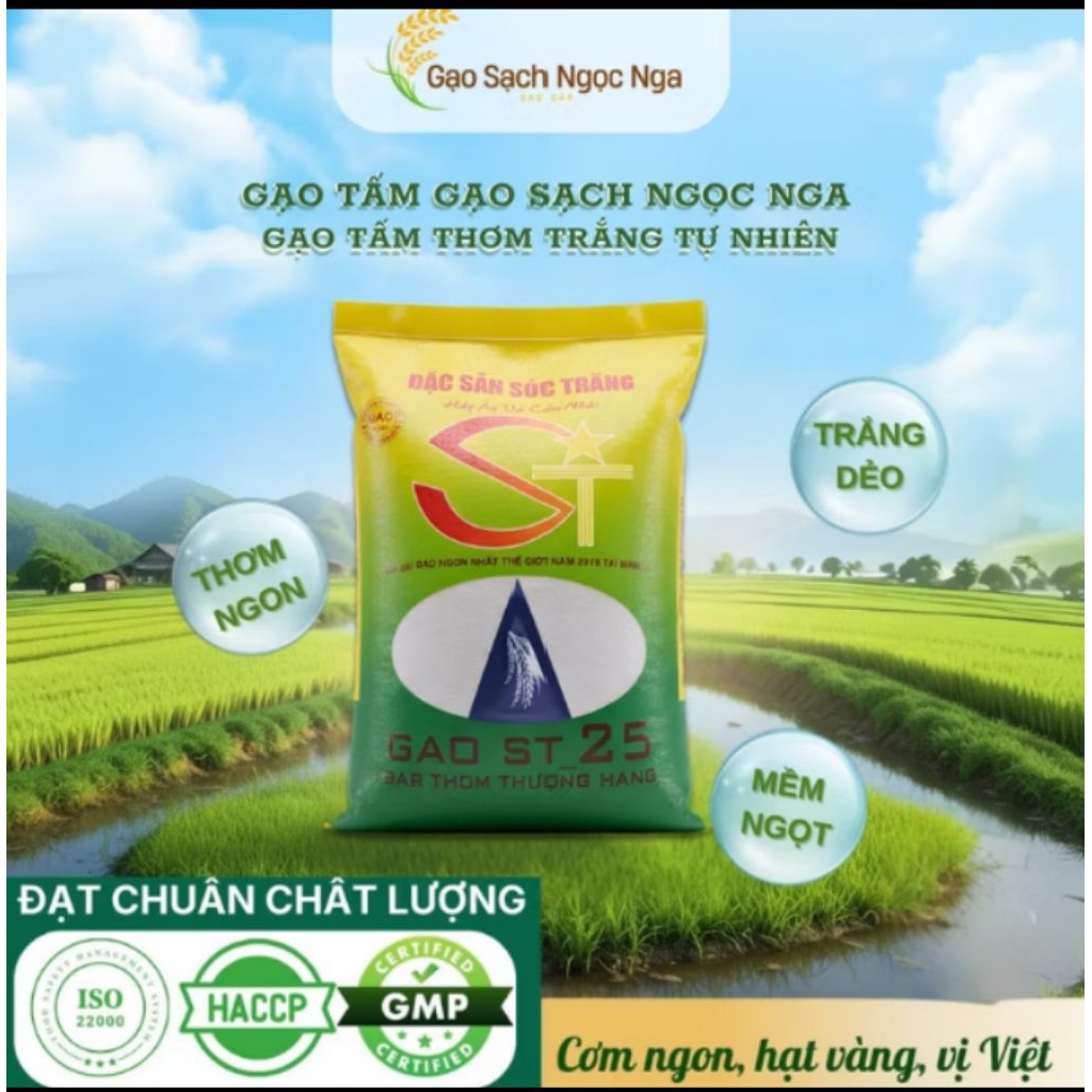 Gạo St25 GẠO SẠCH NGỌC NGA ,Gạo Tấm Thơm ST25 (Xịn) Bao May 5kg 10kg Dẻo Hương Thơm Tự Nhiên
