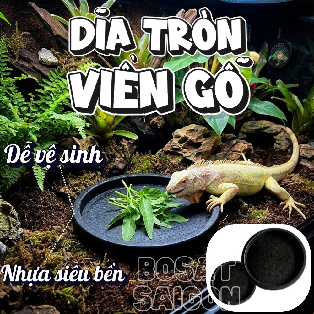 Tròn viền gỗ CHÉN ĂN, KHAY, MÁNG NƯỚC SIÊU BỀN CHO PET NHỎ, BÒ SÁT RỒNG NAM MỸ IGUANA, RÙA NÚI VÀNG,