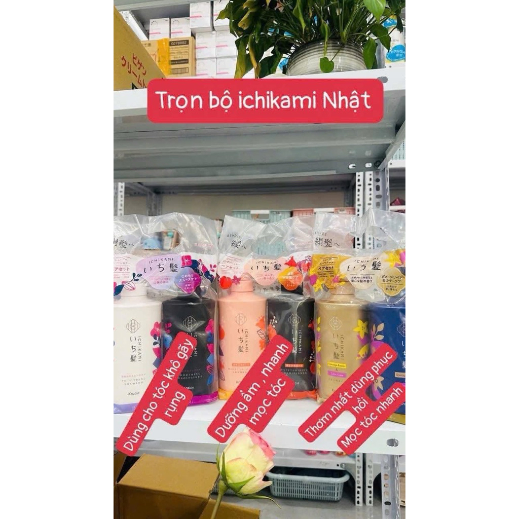 Cặp gội xả Ichikami Nhật Bản