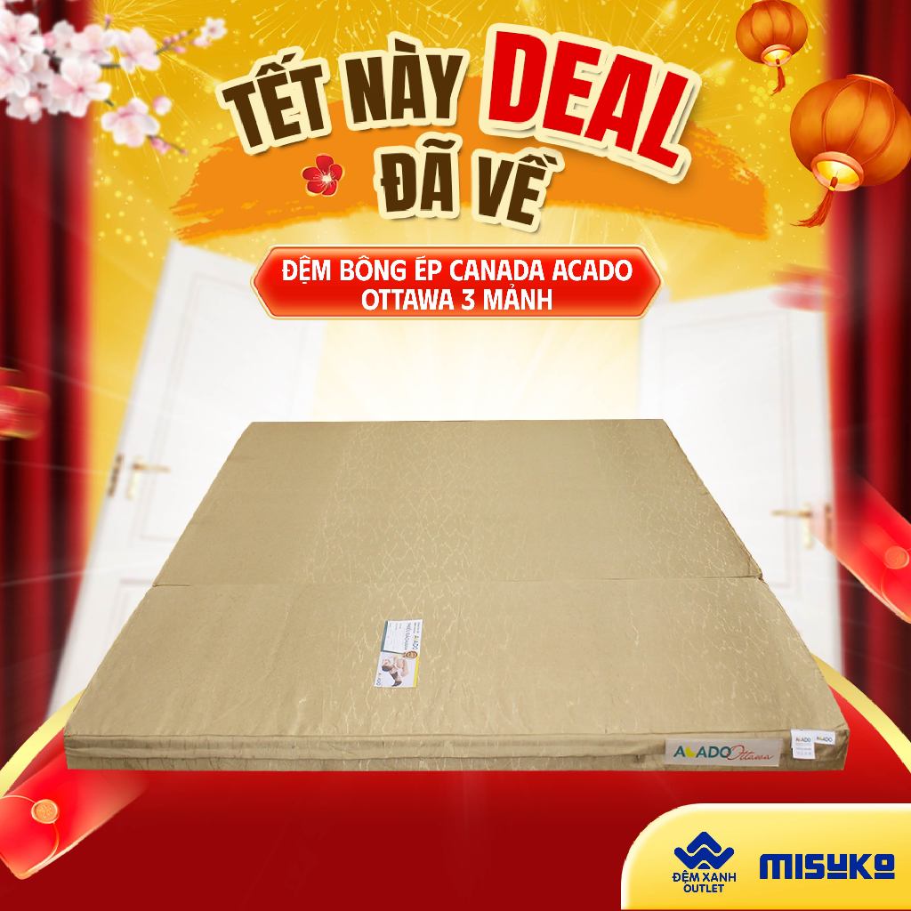 Đệm bông ép Canada Acado Ottawa 3 mảnh