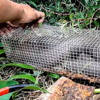 Lồng bẫy rắn thông minh 2 đầu ,dụng cụ bắt rắn 80 x11cm