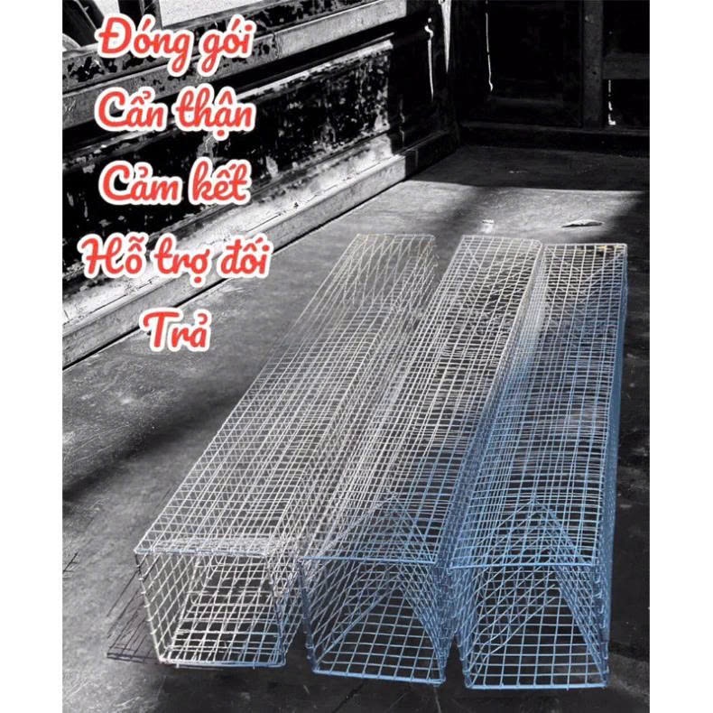 Lồng bẫy rắn thông minh 2 đầu ,dụng cụ bắt rắn 80 x11cm