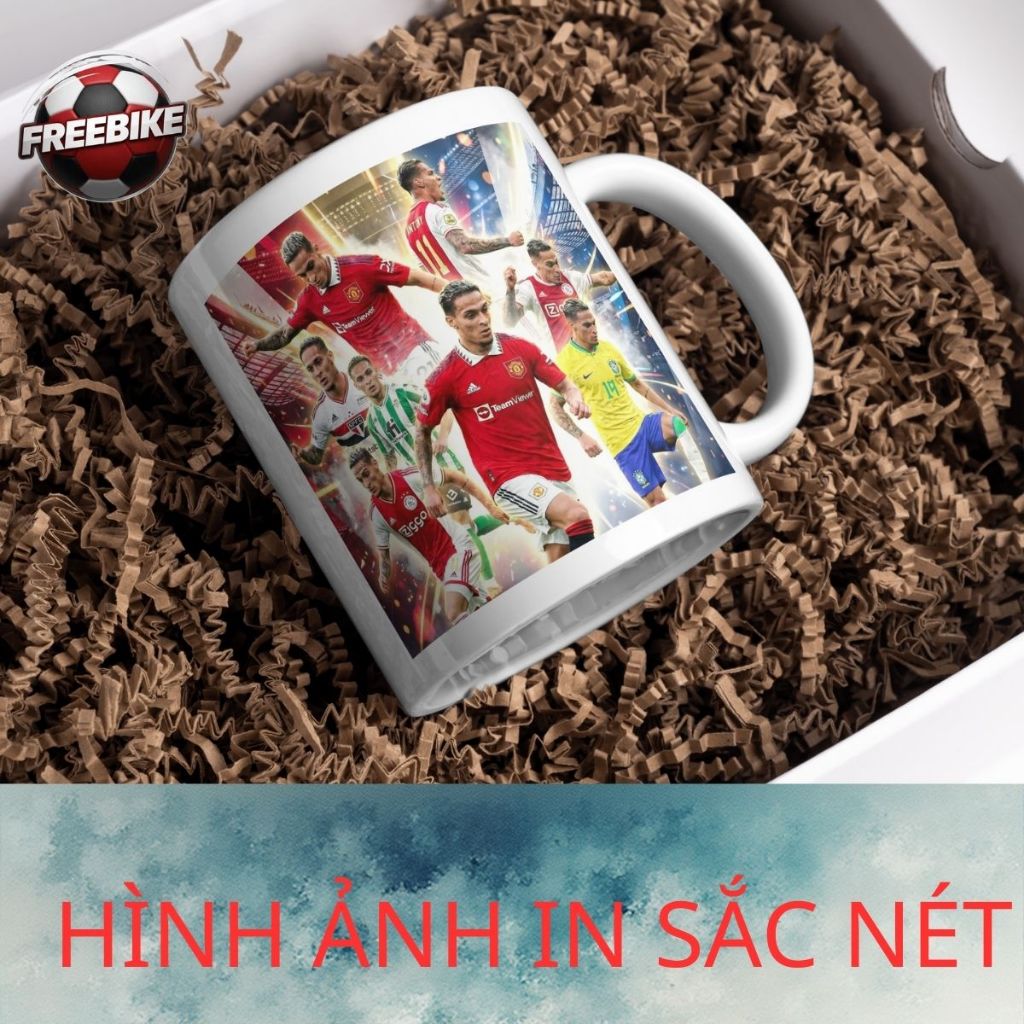 LY SỨ IN CAO CẤP HÌNH ANTONY