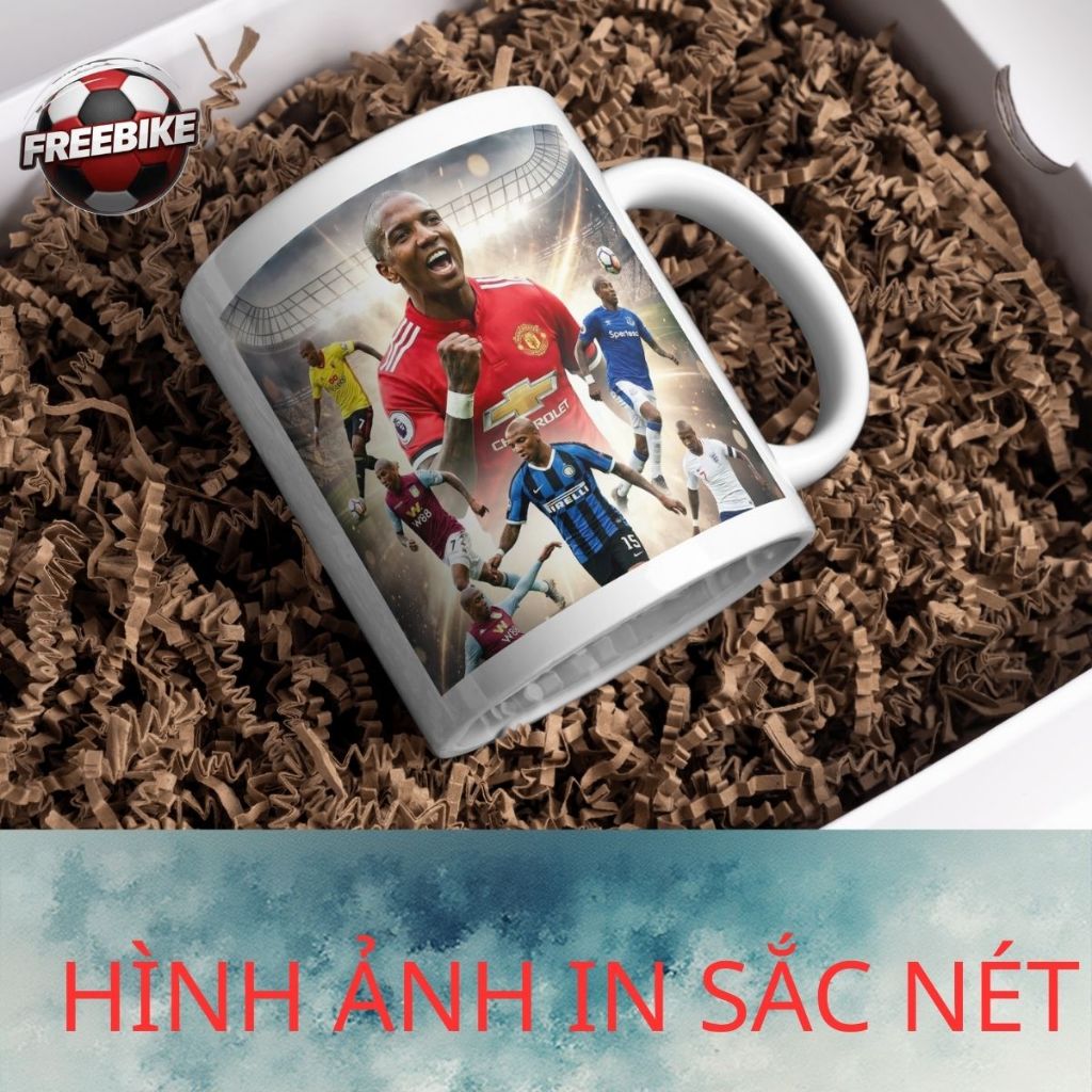 LY SỨ IN CAO CẤP HÌNH ASHLEY YOUNG