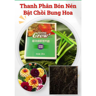Cây trồng trong chậu Cây trồng chậm Thanh dinh dưỡng Cây trồng trong chậu Cây mọng nước Phân bón cây may mắn Cây xa