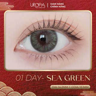  Lens 1 ngày hằng ngày UROPA Sea Green màu biển xanh  0 độ  
