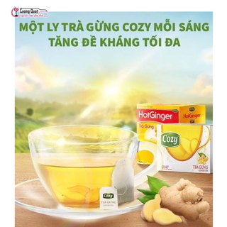 Trà Cozy Túi Lọc Có Nhiều Hương Vị - Cường Quật – Đủ nguyên liệu, chuẩn vị kinh doanh