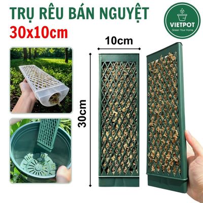 Trụ rêu bán nguyệt VIETPOT, 30x10cm, có khớp nối, cho các cây leo, kiểng lá Monstera, Philodendron