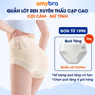  Quần Lót Nữ Ren Mỏng Tàng Hình - Quần Chip Nữ Lưng Cao Đáy Kháng Khuẩn AMYBRA L5505 