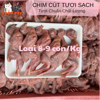 Chim Cút Nguyên Con Tươi Làm Sạch Ruột , Cấp Đông Nướng Làm Phần Thưởng Cho Chó Mèo 1kg - FoodPet - Hỏa Tốc
