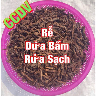 RỄ DỪA BẦM RỬA SẠCH 9~10KG Cây cảnh Đại Việt