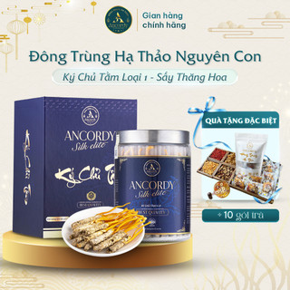 Đông Trùng Hạ Thảo Ký Chủ Tằm Loại 1 Chính Hãng Sấy Khô Thăng Hoa Dinh Dưỡng Cao Nuôi Vô Khuẩn Tại Ancordy 
