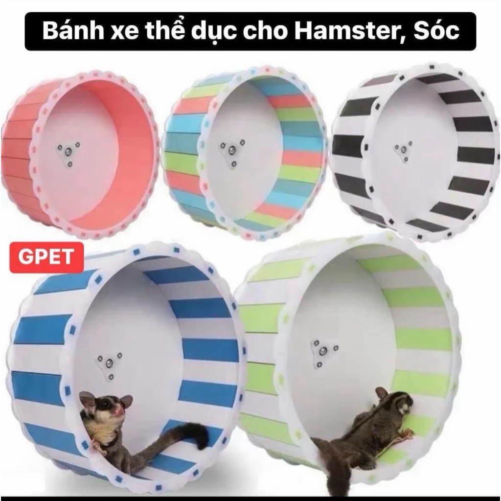 Wheel gỗ Hamster đa sắc màu (Sản phẩm không kèm đế)