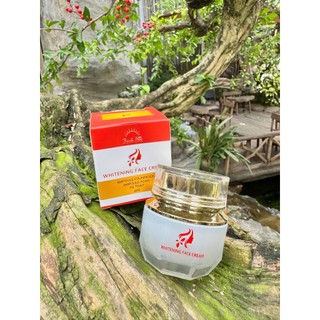 Kem chống nắng Whitening Face Cream hũ lớn 30gr (Phiên bản nâng cấp mới)