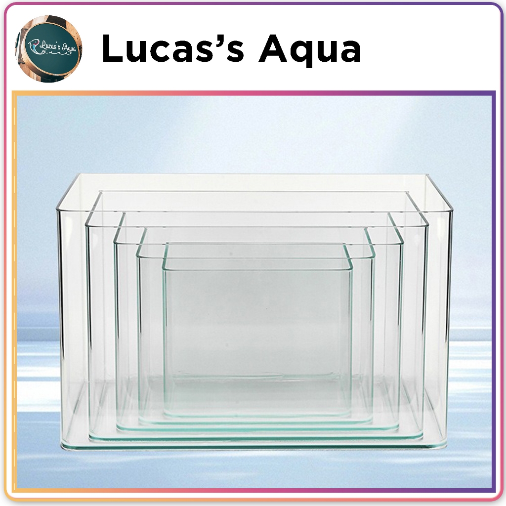 Bể Cá Bể Tép Mini Siêu Trong & Bể Đúc Cong Cạnh (30–60 cm) – Nhiều Size – Bảo Hành Vỡ – Lucas’s Aqua