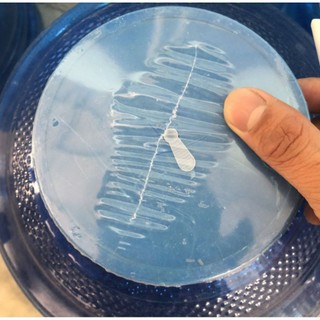 1kg màng co ép đầu phi 110 bình 20 lít