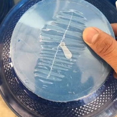 1kg màng co ép đầu phi 110 bình 20 lít