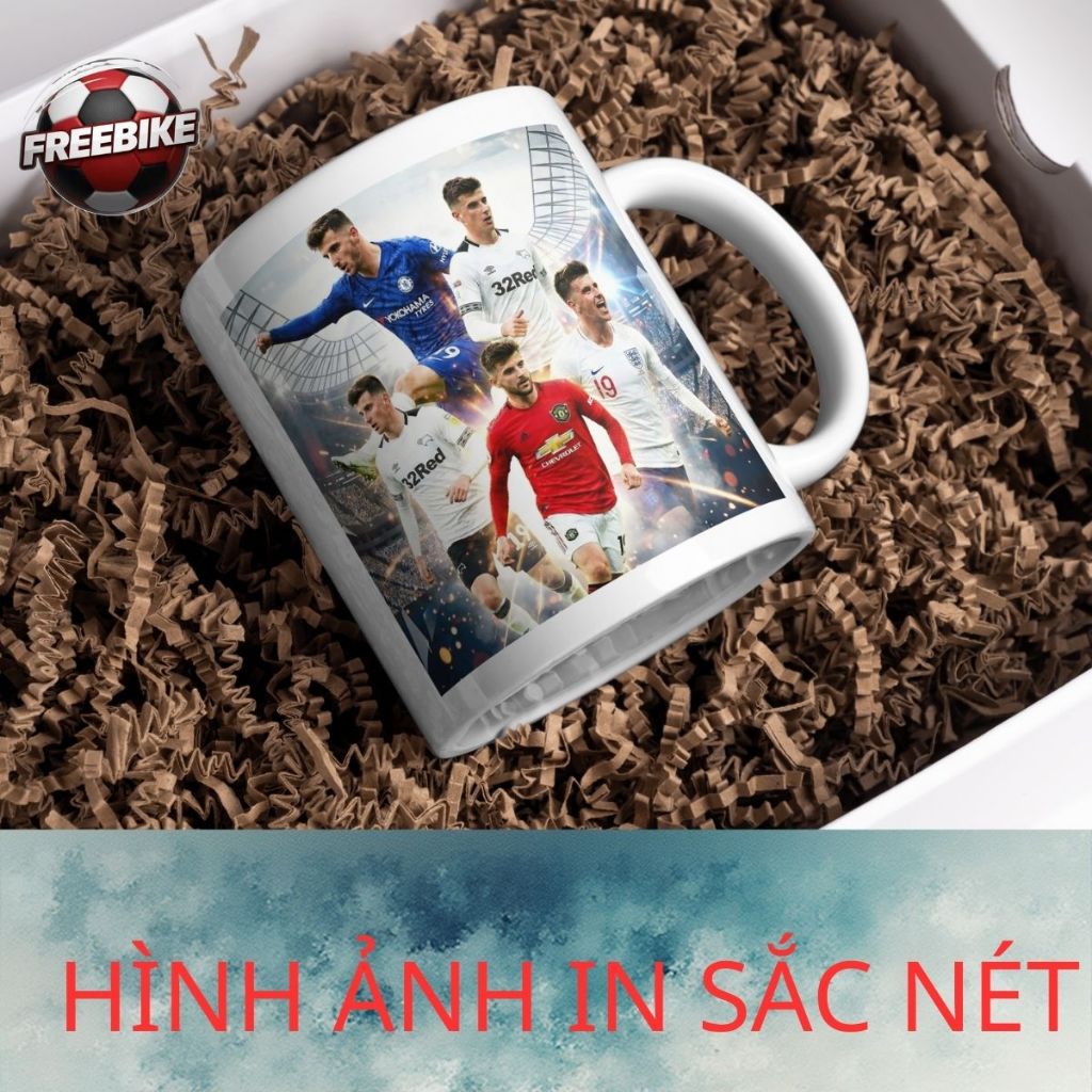 LY SỨ IN CAO CẤP HÌNH MASON MOUNT