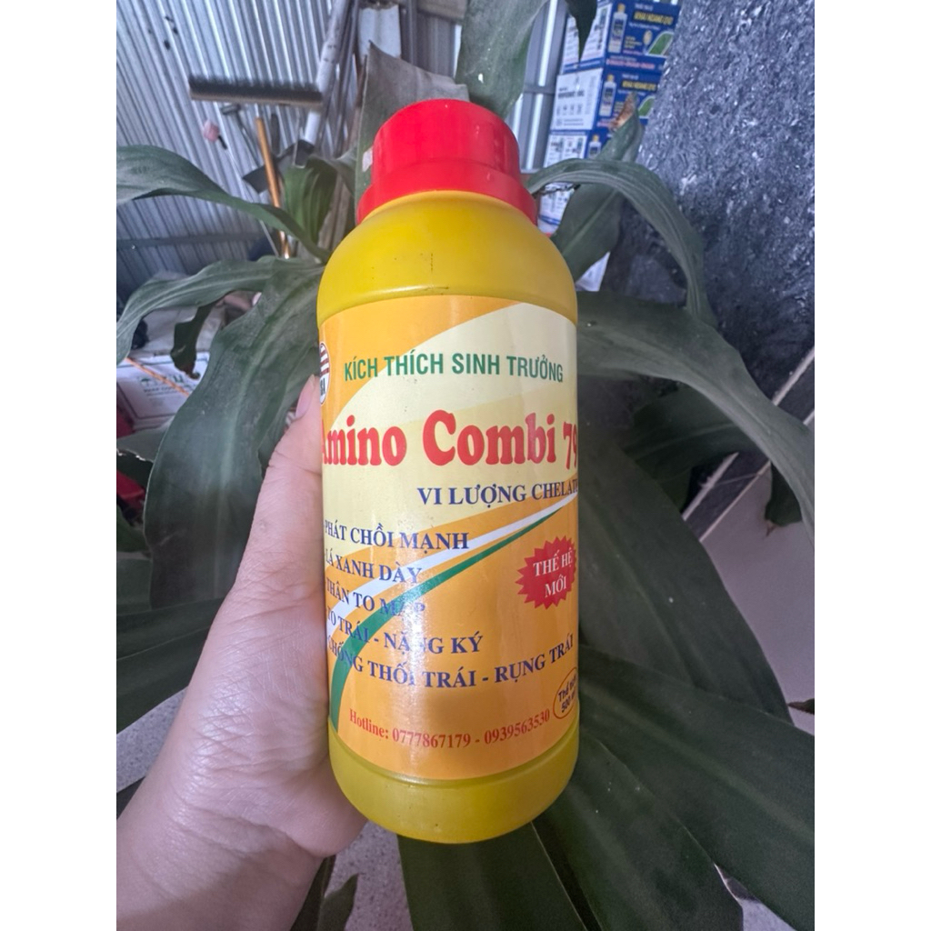 Amino Combi 79 vi lựơng