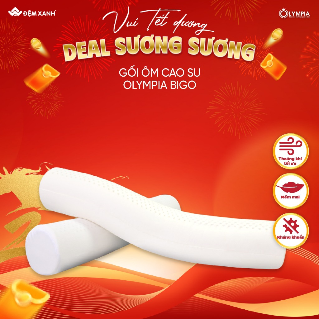 Gối ôm cao su Olympia Bigo 20x95cm