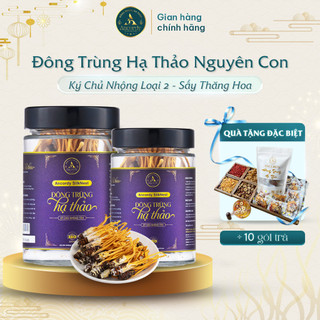  Nấm Đông Trùng Hạ Thảo Nguyên Con Ký Chủ Nhộng Loại 2 Chính Hãng Sấy Khô Thăng Hoa Nuôi Vô Khuẩn Tại Ancordy 