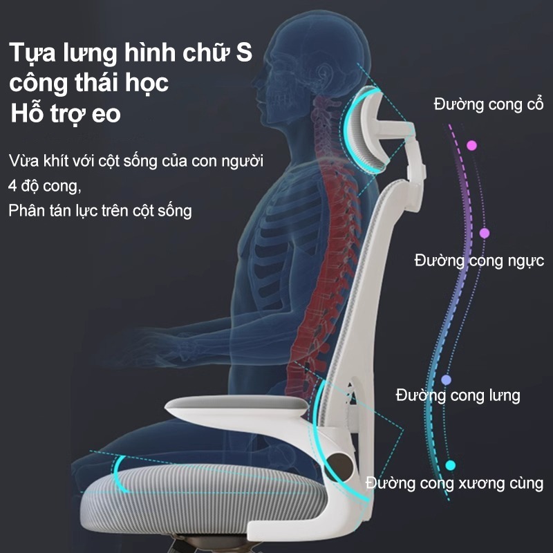 Ghế công thái học Ghế máy tính bảo vệ lưng Ghế học tập thoải mái ngồi lâu Ký túc xá chơi game | BigBuy360 - bigbuy360.vn