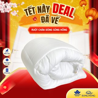  Ruột Chăn Đông Sông Hồng phân phối chính hãng 