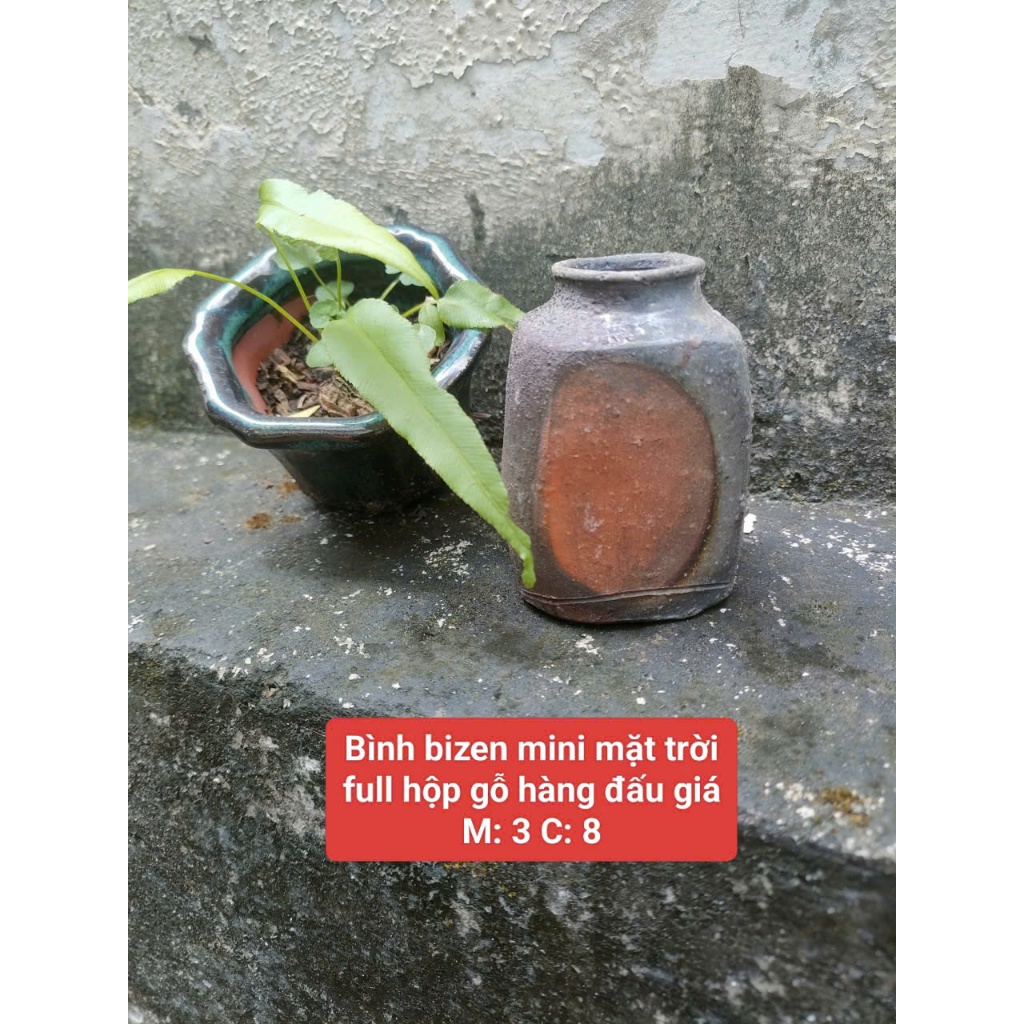 Bình bizen nhỏ hỏa biến mặt trời và tượng gà bizen gốm Nhật❤️❤️❤️