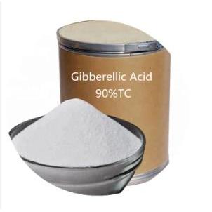 GA3 90% – GIBBERELLIC ACID NGUYÊN CHẤT/ KÉO ĐỌT MẠNH – TO TRÁI NHANH – RA HOA ĐỒNG LOẠT