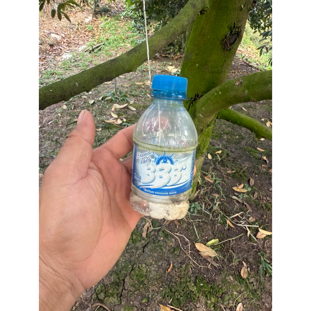 dụng cụ xua đuổi ruồi vàng rầy xanh (1 chai + 6viên xua đuổi rầy xanh)