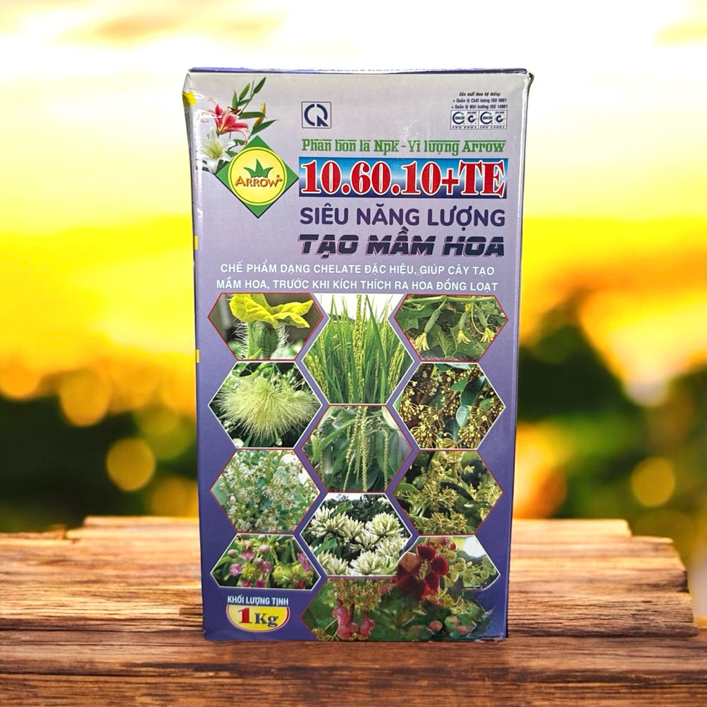 QN 10-60-10+TE hộp 1 kí