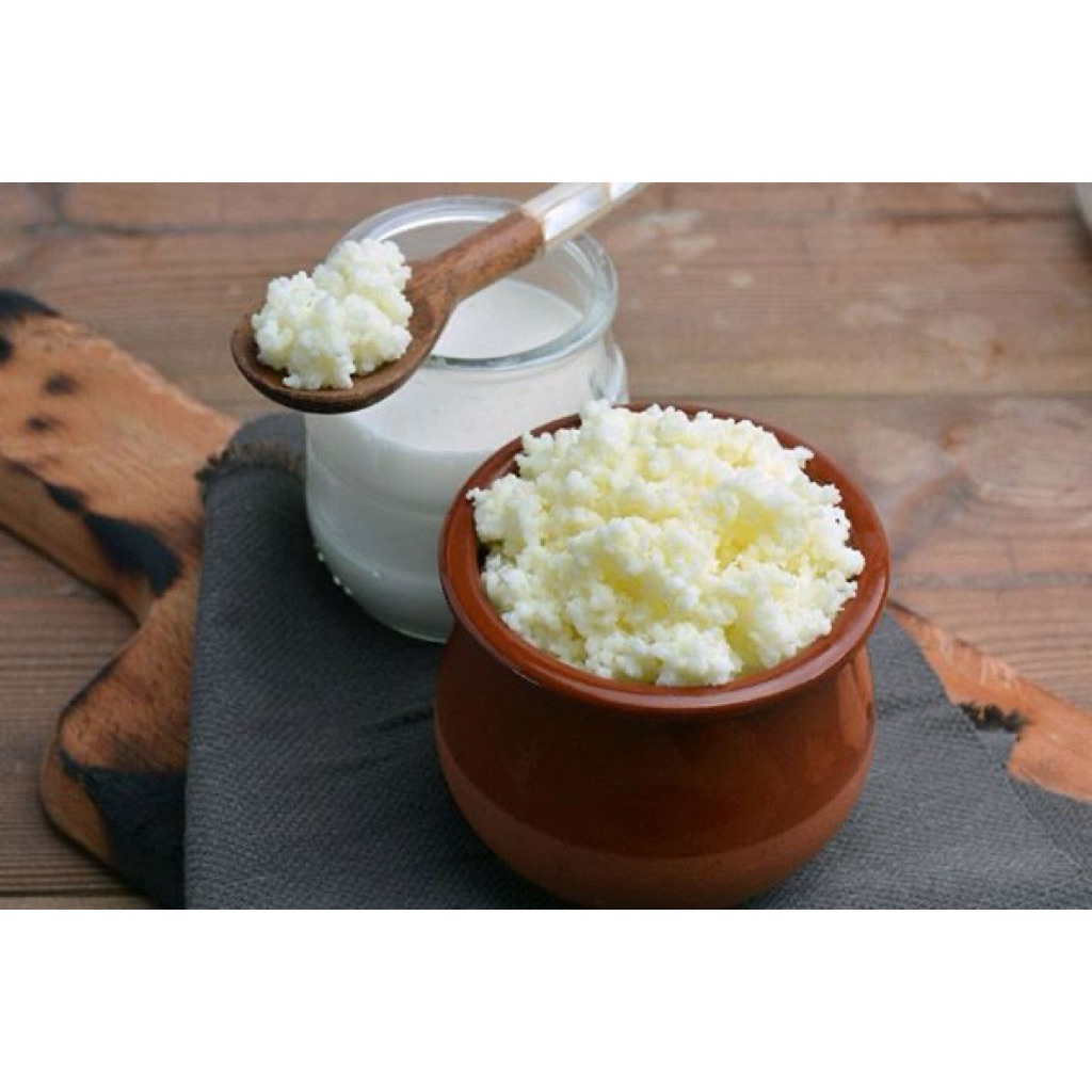 Nấm sữa Kefir làm sữa chua Kefir, sữa chua Hy Lạp tại nhà