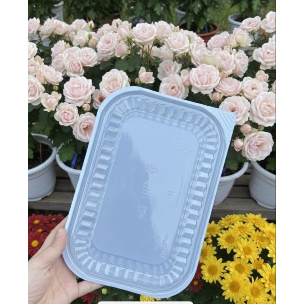 Combo 10 hôp HT203 đế trắng đựng cá chép size 23cm, đựng bánh trung thu