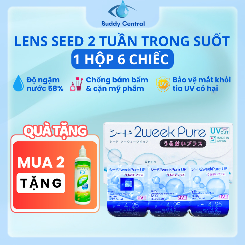 (Hộp 6 chiếc) Kính áp tròng SEED 2 tuần 2week Pure trong suốt độ cận từ 0.00D đến -12.00D - Buddy