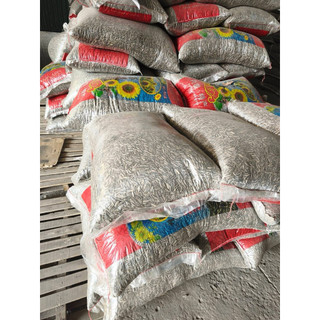 5kg Hướng dương sống, hạt bí sống loại to đẹp