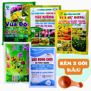  Combo 7 gói phân bón vạn thọ và cây kiểng chơi hoa tết  vua đọt,tắc kiểng,vua bự bông,siêu bung chèo,bập mập    CB7-13   