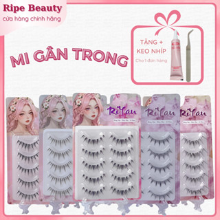  Lông Mi Giả Gân Trong Tự Nhiên Mềm Nhẹ 5 cặp Tái Sử Dụng Nhiều Lần RiYan Kèm Keo Nhíp 