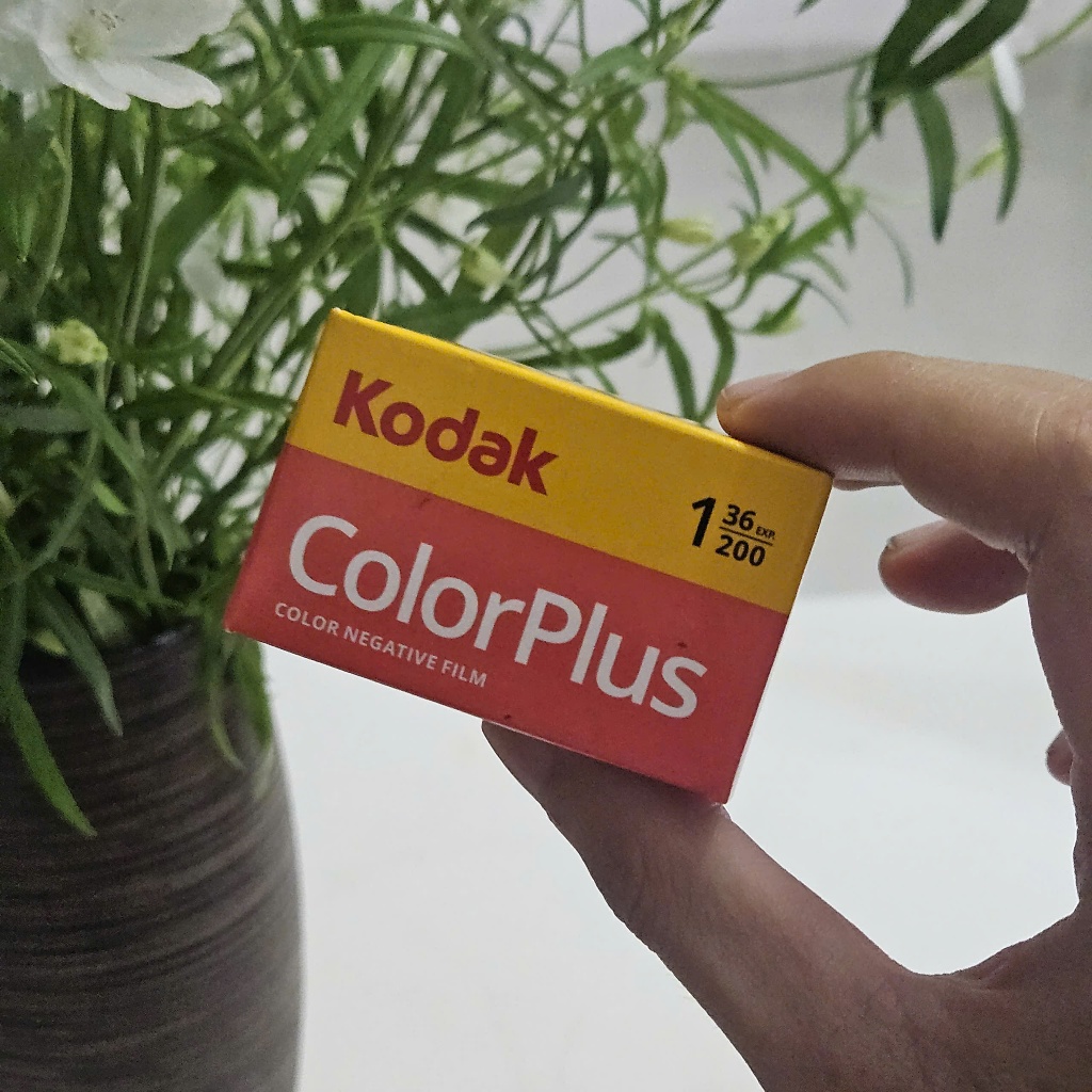 Film Kodak 36 kiểu - indate 2028 - ultramax 400 - colorplus - gold