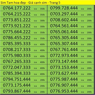 Sim Tam Hoa Mobifone - Vinaphone - Viettel