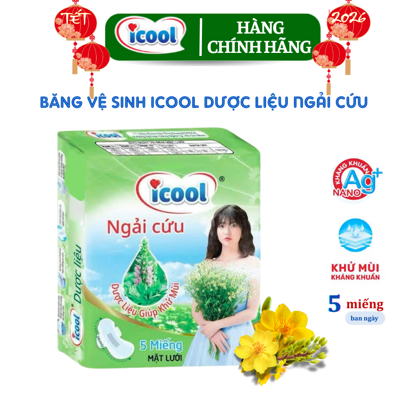 Băng Vệ Sinh Dược Liệu Ngải Cứu Mặt Lưới (5 Miếng, Dài 24cm, Có Cánh)
