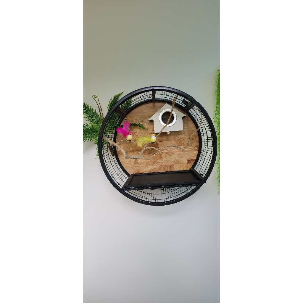 lồng chim treo tường,avi mini