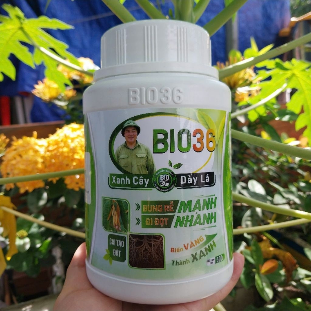 Phân bón bio 36 (hũ 500g) siêu kích rễ kích đọt, xanh cây dày lá, bio 36 hàng chính hãng, bio 36 siê