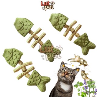 Cá Catnip Cho Mèo, Đồ Chơi Cỏ Mèo Mix Gỗ Rafinha Giảm Stress Cho Thú Cưng - Lutpet