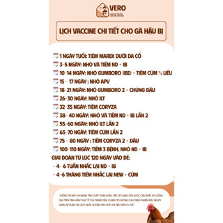 [Quà Tặng] Vỗ Béo VERO Quyển Lịch Tiêm Vacxin Cho Gà Hậu Bị - Lịch Vaccine Chi Tiết Dành Cho Người Chăn Nuôi Giúp Theo D