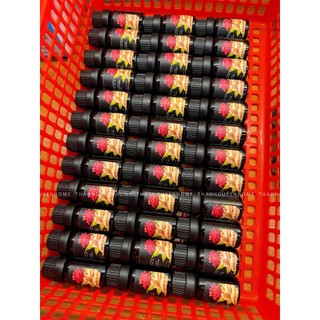 Tinh dầu gừng đỏ mọc tóc (tráng tóc massage)